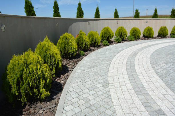 Best Driveway Repair Near Me  in Port Gibson, MS